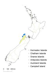 Veronica stenophylla var. hesperia distribution map based on databased records at AK, CHR & WELT.
 Image: K.Boardman © Landcare Research 2022 CC-BY 4.0